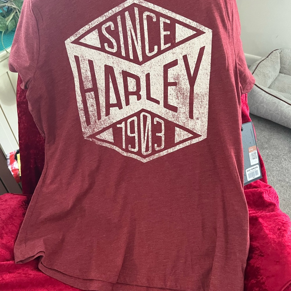 Brand new Harley Davidson tee size large . Front design only